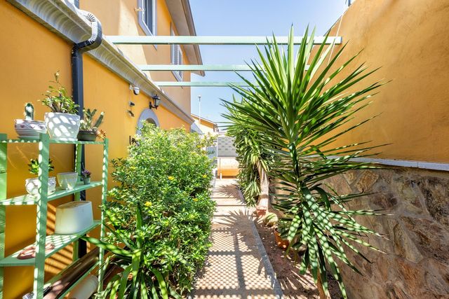 Side garden